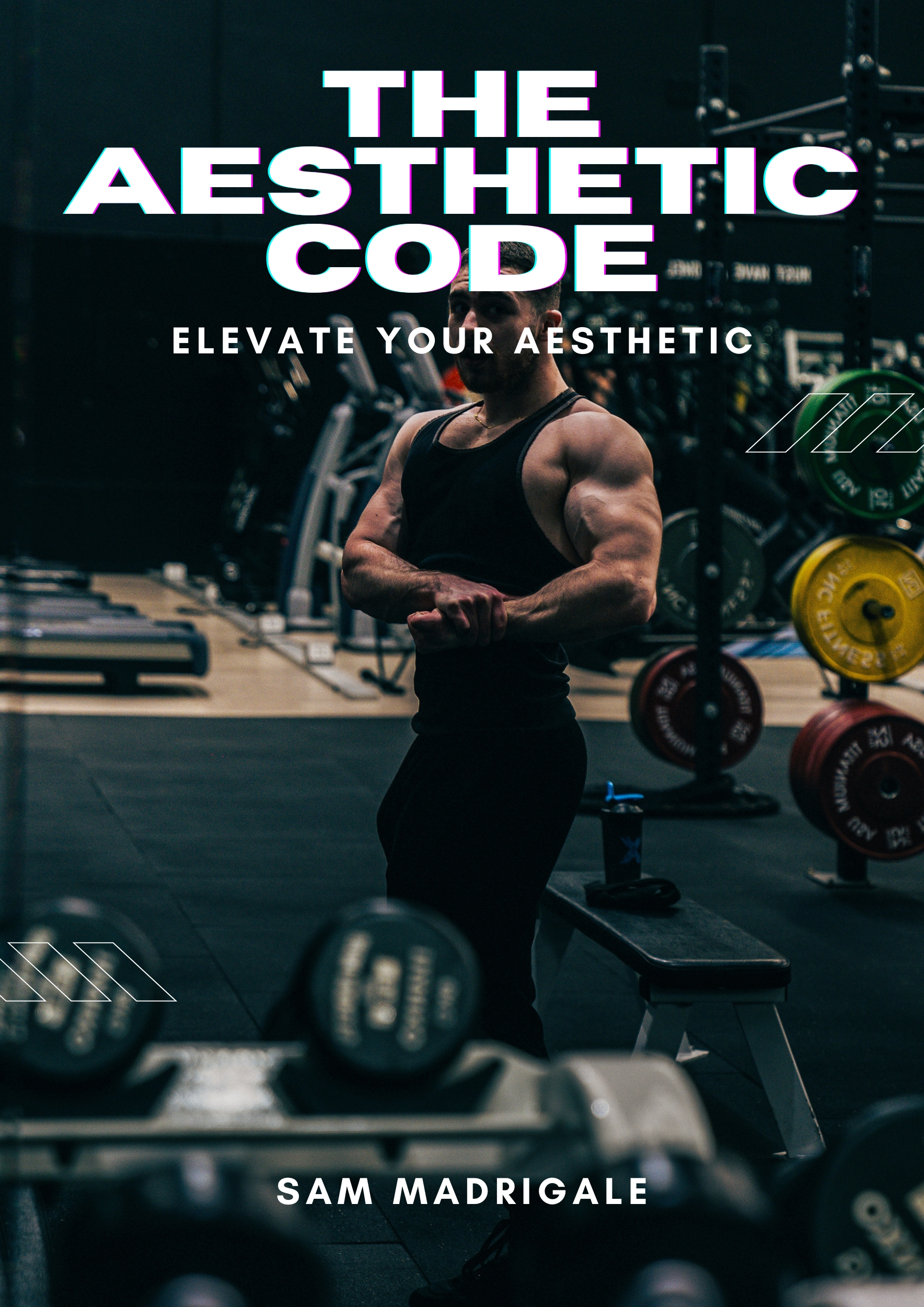 The Aesthetic Code
